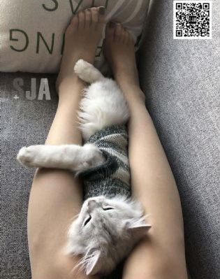 24小时直播不断_蓝光在线观看